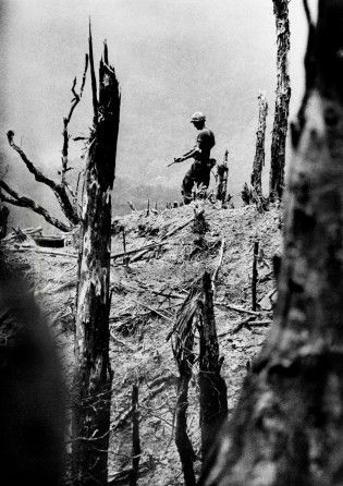 Görsel: Pulitzer Ödüllü Fotoğraf - David Hume Kennerly  (1972)