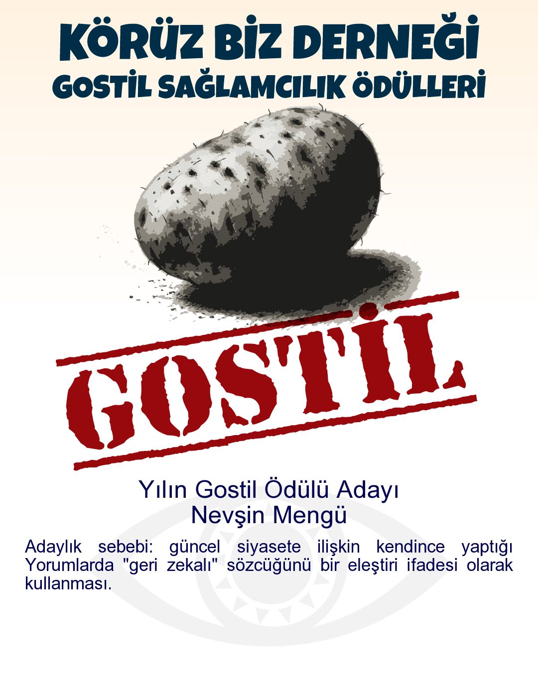 Gostil Kart: (170 harf.) Yılın Gostil Ödülü Adayı: Nevşin Mengü - Adaylık sebebi: güncel siyasete ilişkin kendince yaptığı Yorumlarda "geri zekalı" sözcüğünü bir eleştiri ifadesi olarak kullanması.